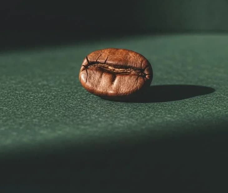 Coffee Sector Business Fundamentals
